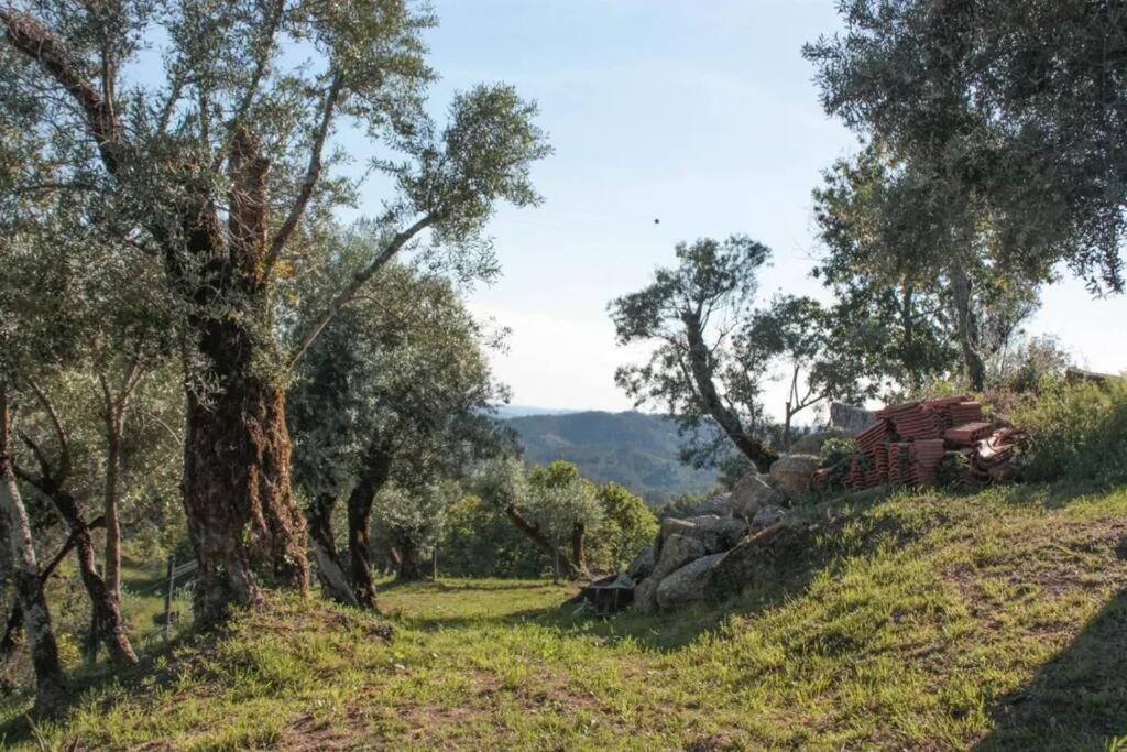 Cantinho Da Pereira Lugar ภายนอก รูปภาพ