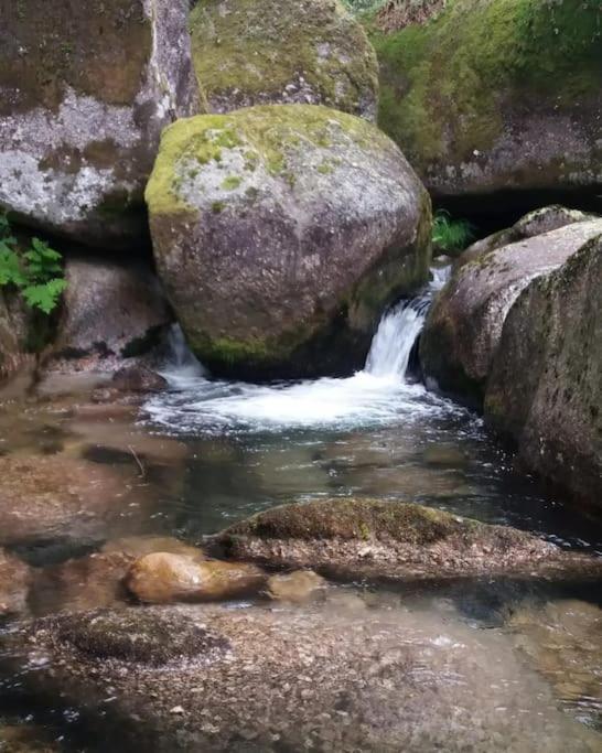 Cantinho Da Pereira Lugar ภายนอก รูปภาพ